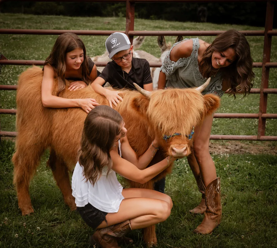 A family gathered around a Highland cow at the gate, a donkey visible in the field behind them